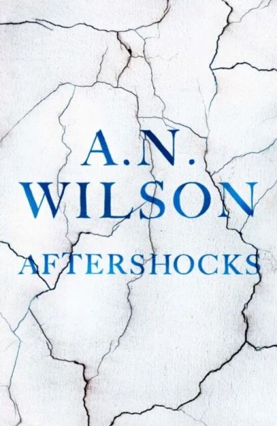 Aftershocks av A. N. (Author) Wilson