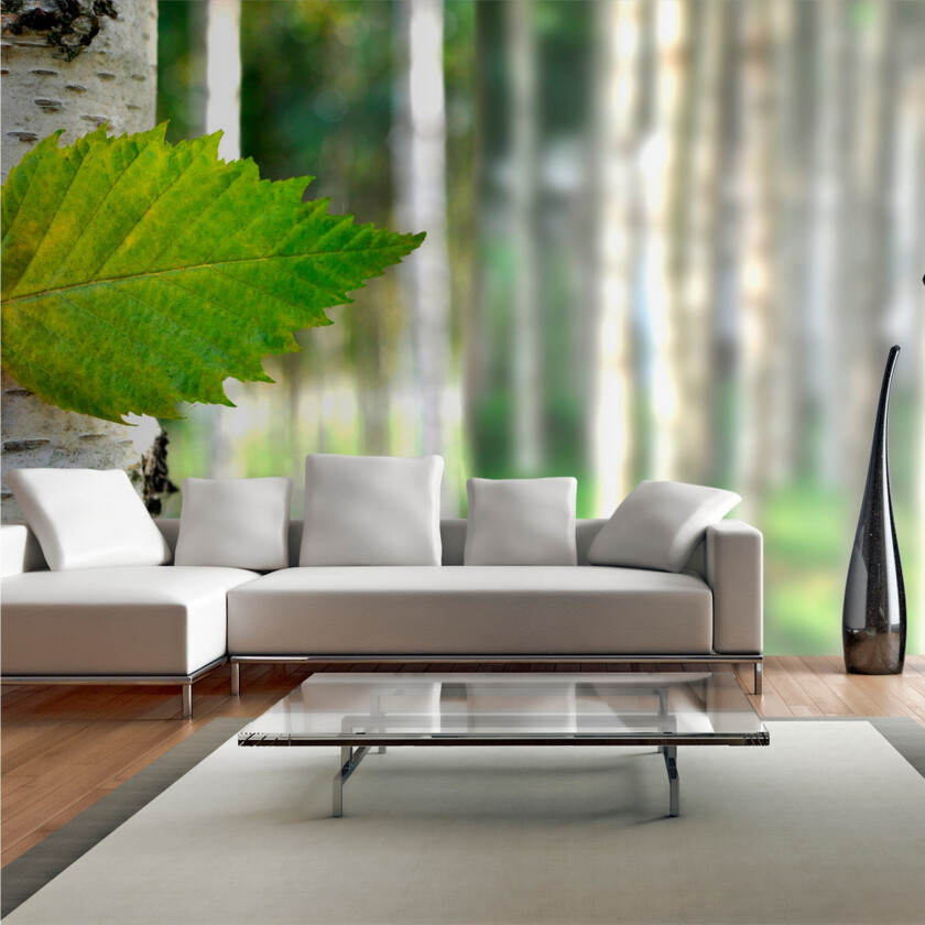 Bilde av Fototapet XXL Bjørkløv 550x270 - Artgeist sp. z o. o.