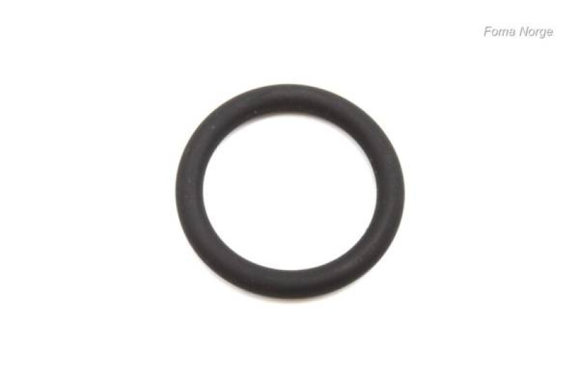 O-Ring Ø15,54x2,62 Mm 80sh Vito gugo21222