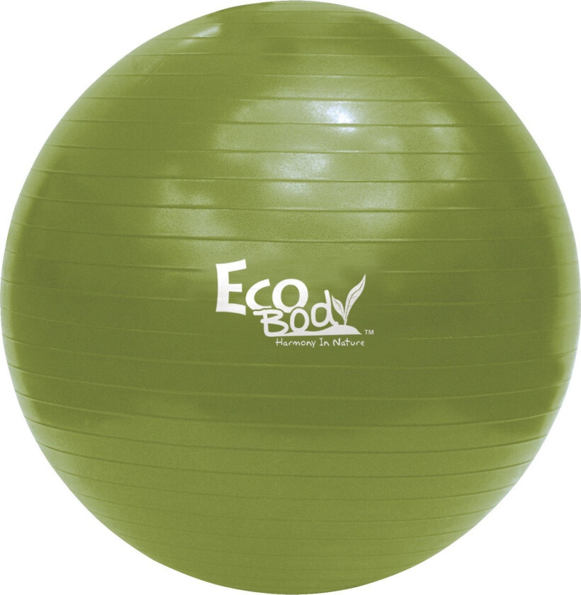 Bilde av Ecobody Yogaball 65cm - Grønn|Grå