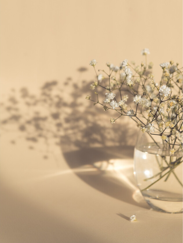 Poster white flowers 70x100 cm - Beige