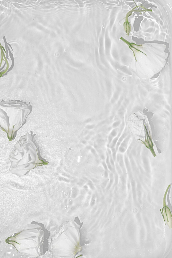 Bilde av Poster White roses 70x100 cm - Hvit