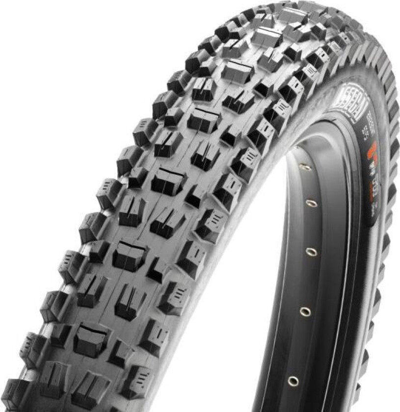Assegai TR EXO+ 29 WT, 3C