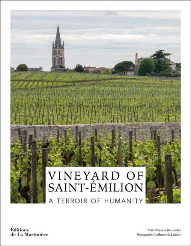 Vineyard of Saint-Emilion av Florence Hernandez