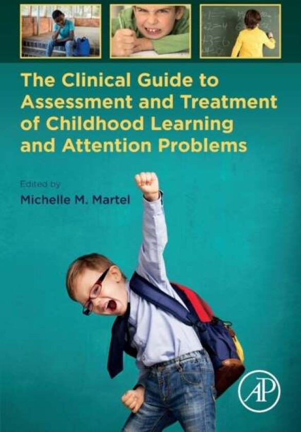 The Clinical Guide to Assessment and Treatment of Childhood Learning and Attention Problems