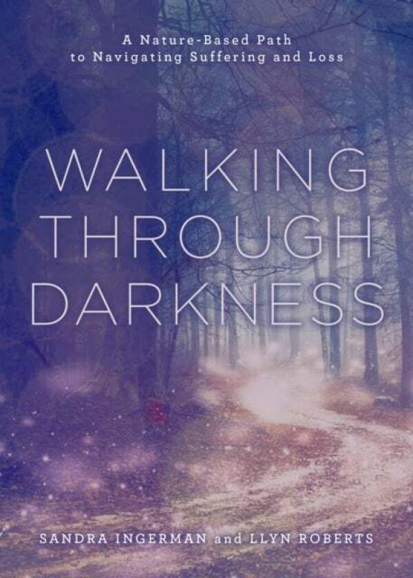 Walking through Darkness av Sandra Ingerman, Llyn Roberts