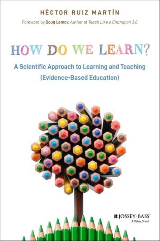 How Do We Learn? av Hector Ruiz Martin