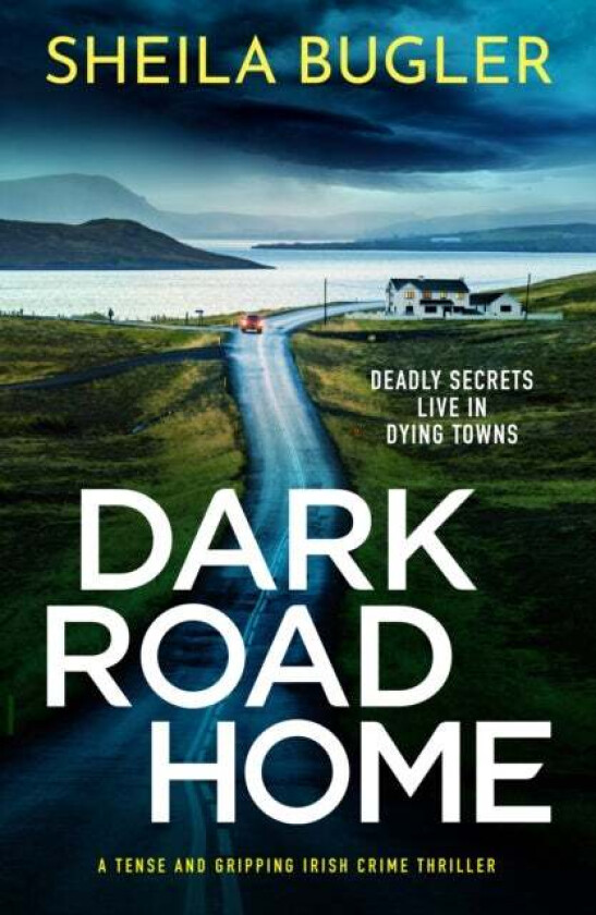 Dark Road Home av Sheila Bugler