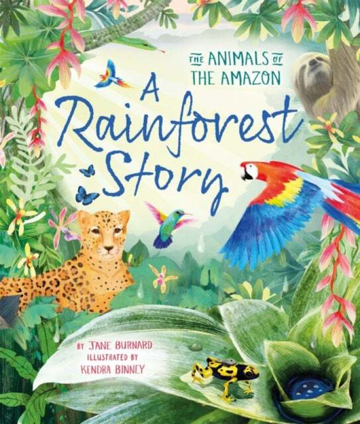 A Rainforest Story av Jane Burnard