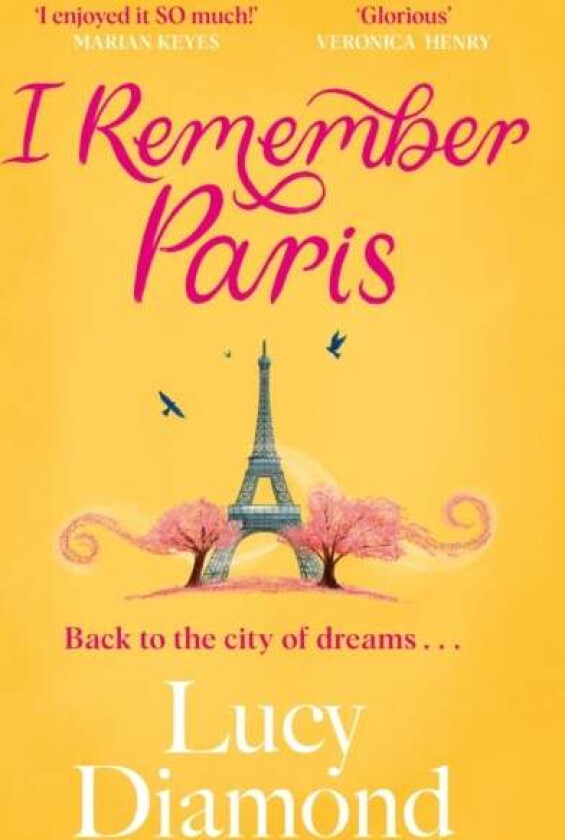 I Remember Paris av Lucy Diamond