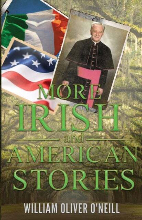 More Irish and American Stories av William Oliver O'Neill