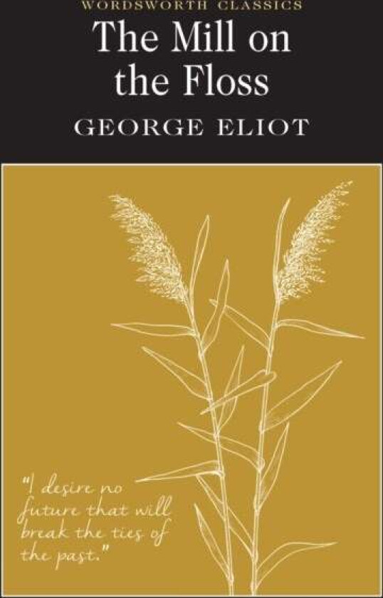The Mill on the Floss av George Eliot