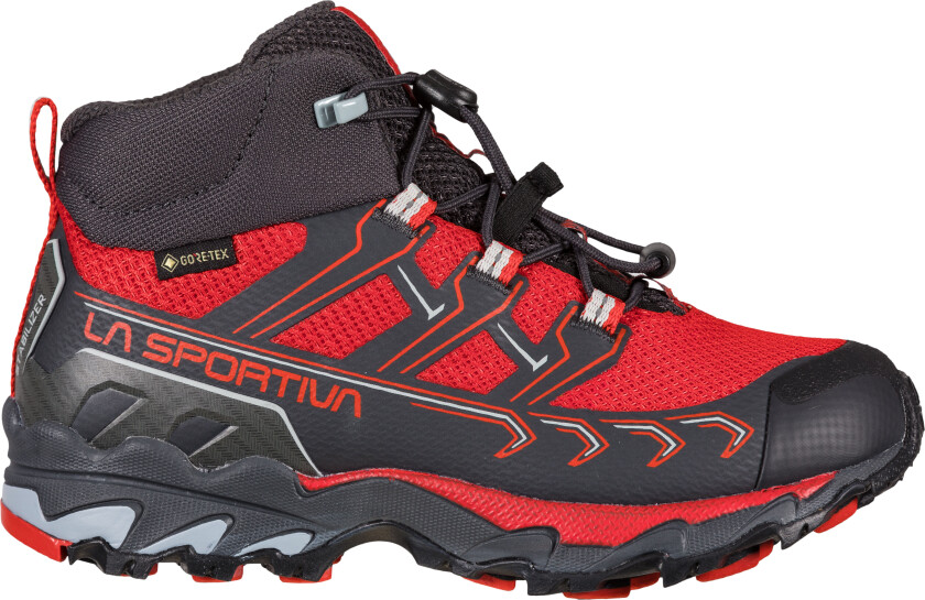 Ultra Raptor Ii Mid Junior Gtx Carbon/Goji 35