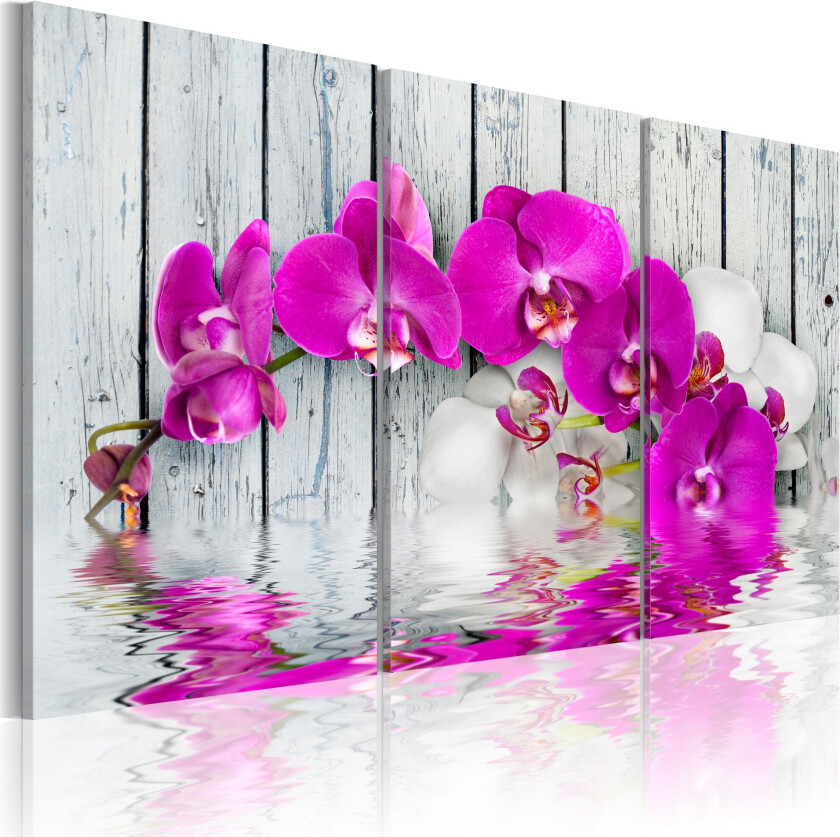 Bilde Harmony Orchid Triptych 60x40 - Artgeist sp. z o. o.