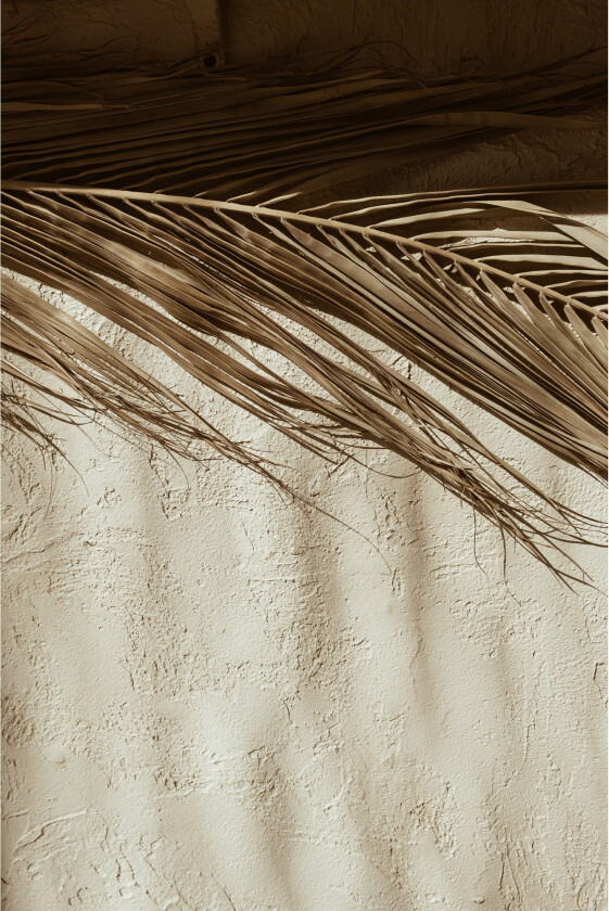 Poster Dessert 30x40 cm - Beige