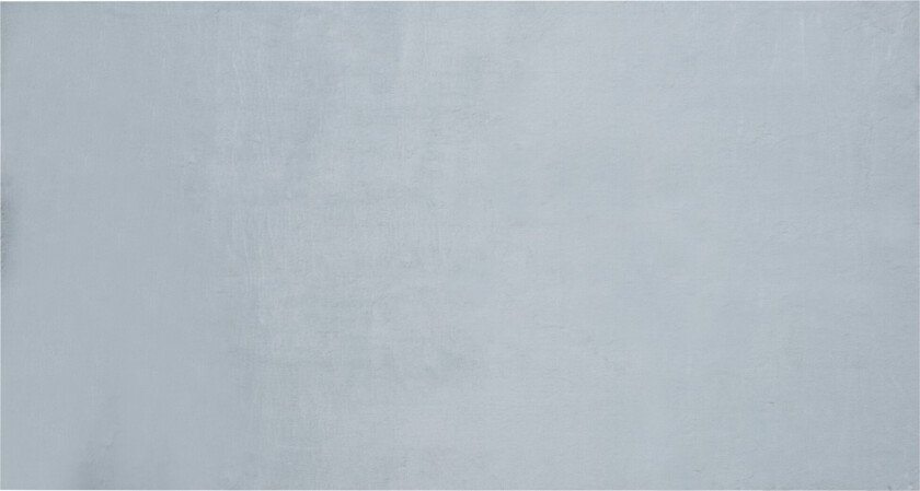 Mirpur Skinnteppe 80x150 cm - Grå