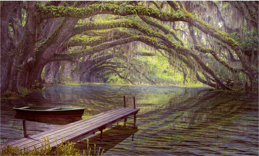 Fototapet Silence And Harmony 450x270 - Artgeist sp. z o. o.