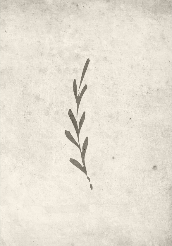 Poster Autumn leaf 70x100 cm - Beige