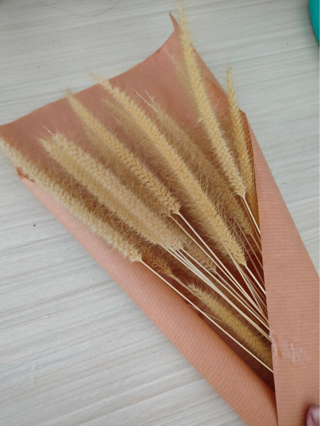 Poster Dry flowers 30x40 cm - Rosa/Beige