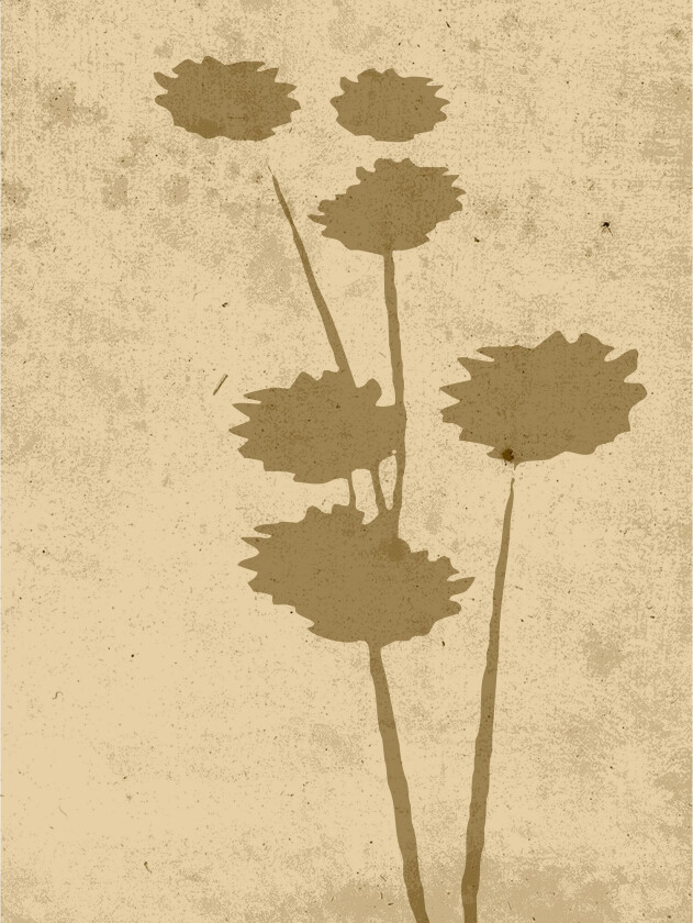 Poster Flower art 30x40 cm - Beige
