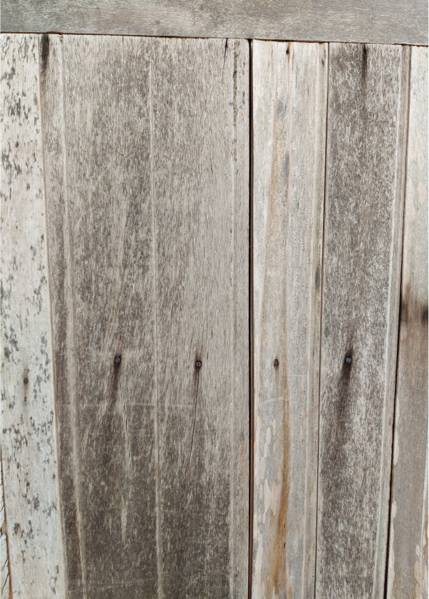 Poster Wooden wall 50x70 cm - Grå