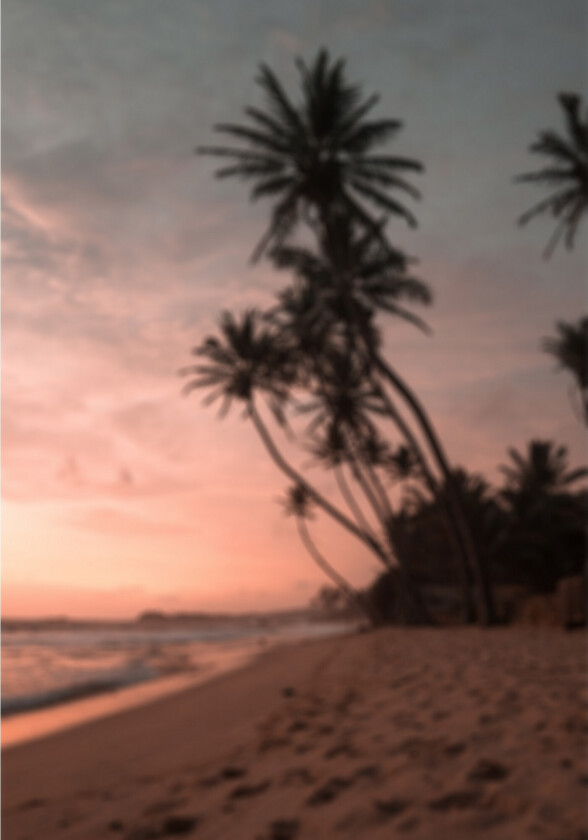 Poster Summer 21x30 cm - Rosa