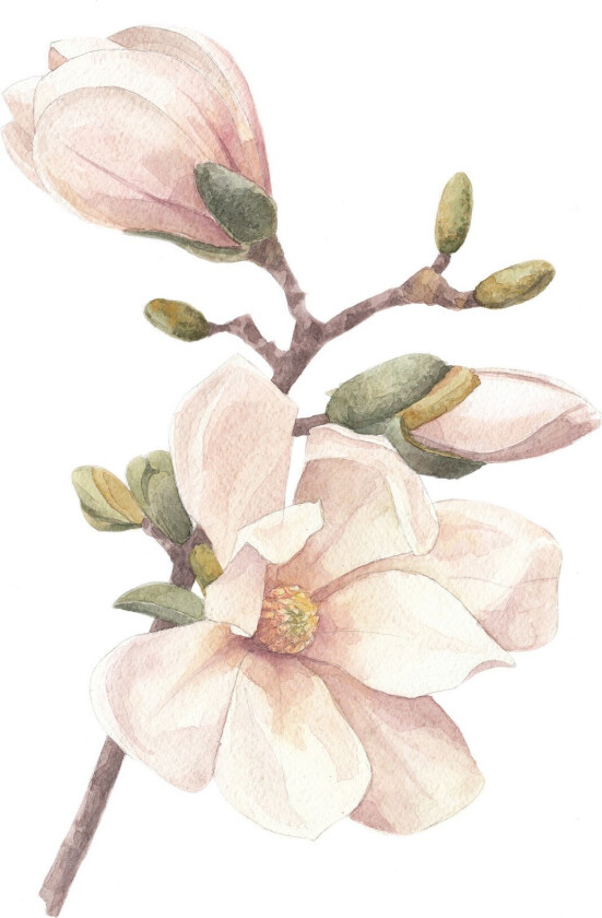 Poster Hand made 70x100 cm - Rosa/Hvit