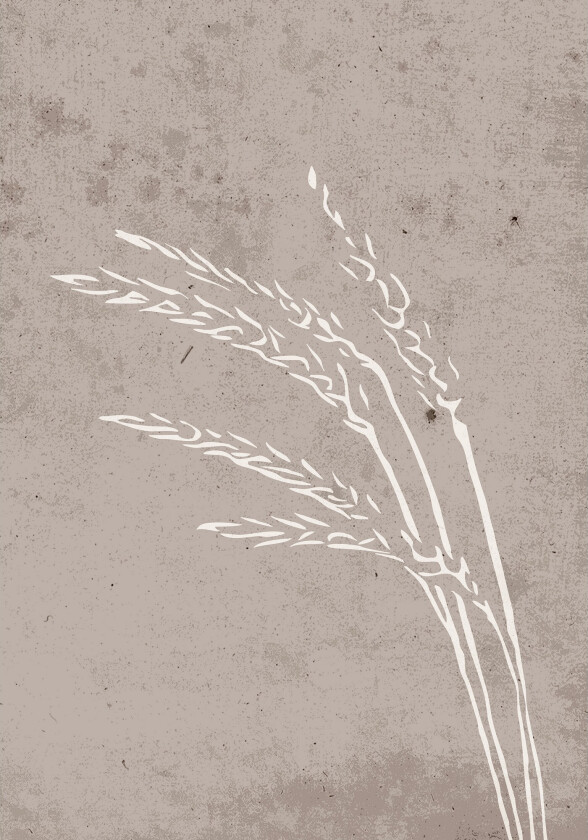 Poster Seeds 21x30 cm - Beige