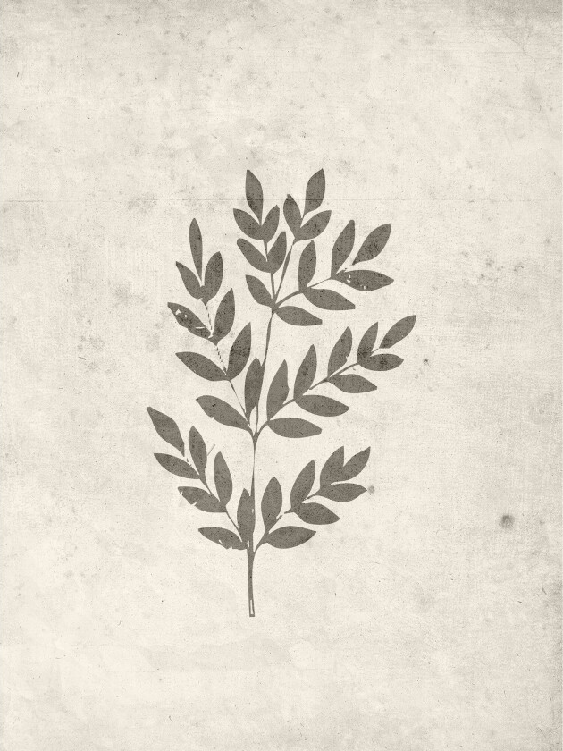 Poster Spring leaf 30x40 cm - Beige