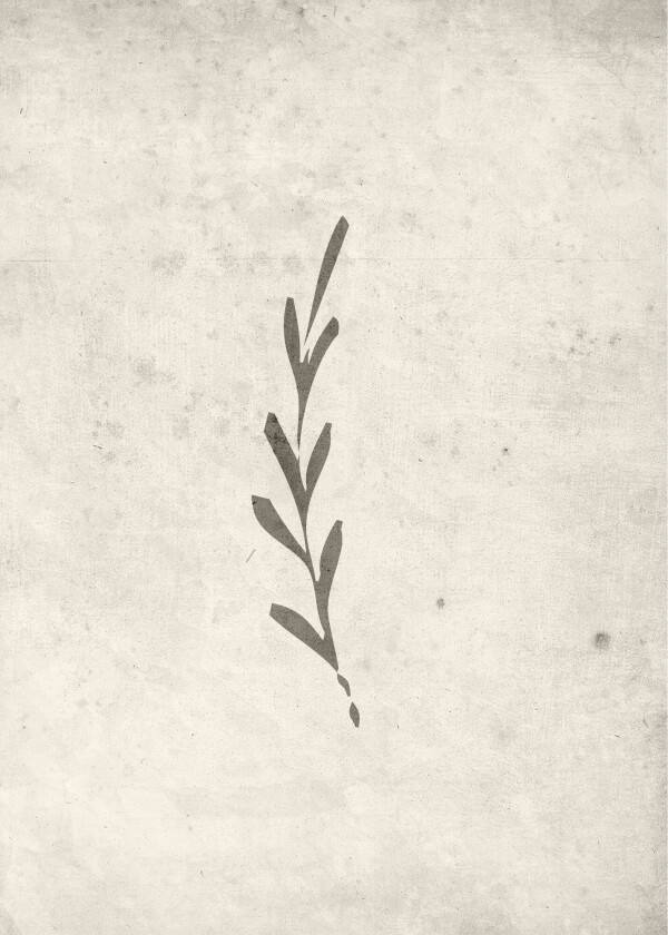 Poster Autumn leaf 50x70 cm - Beige