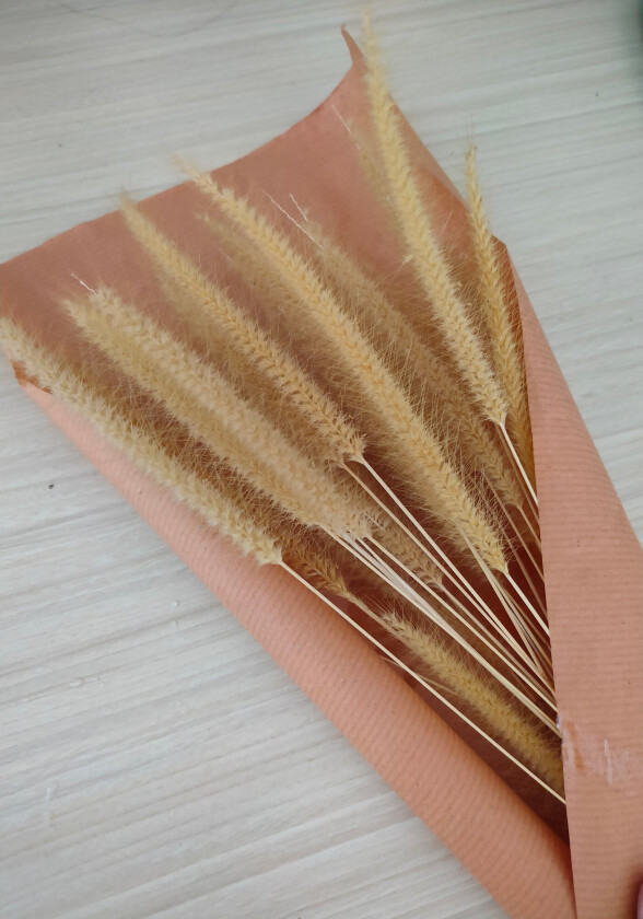 Poster Dry flowers 21x30 cm - Rosa/Beige