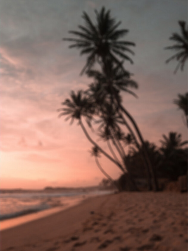 Poster Summer 30x40 cm - Rosa