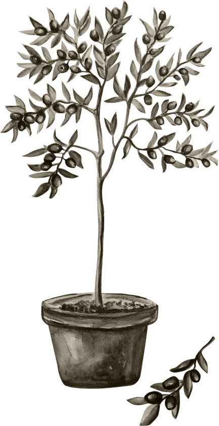 Poster Olive 70x100 cm - Hvit/Grønn