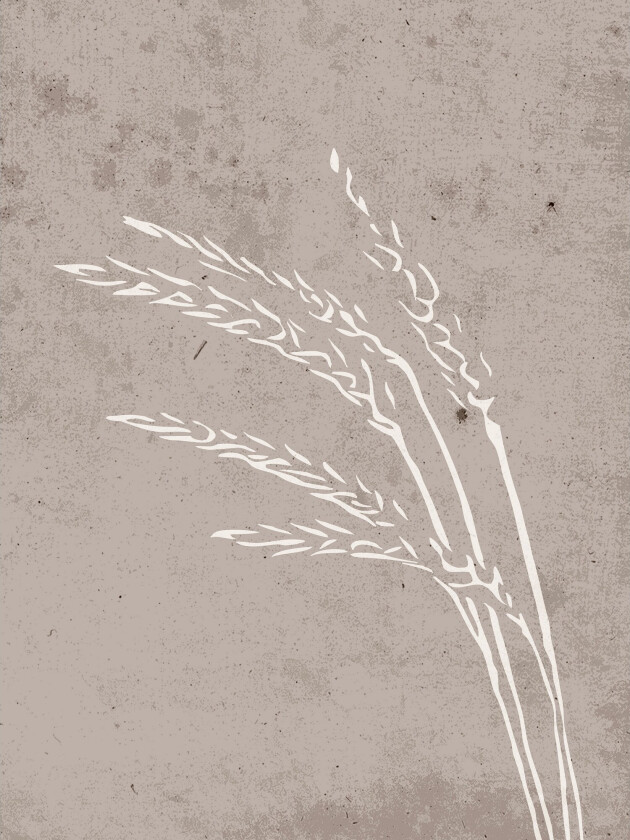 Poster Seeds 30x40 cm - Beige