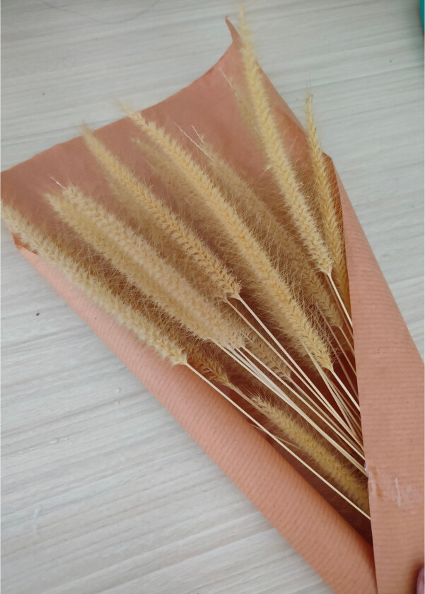 Poster Dry flowers 50x70 cm - Rosa/Beige