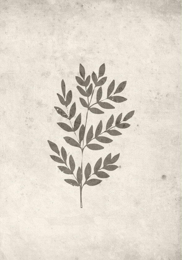 Poster Spring leaf 70x100 cm - Beige