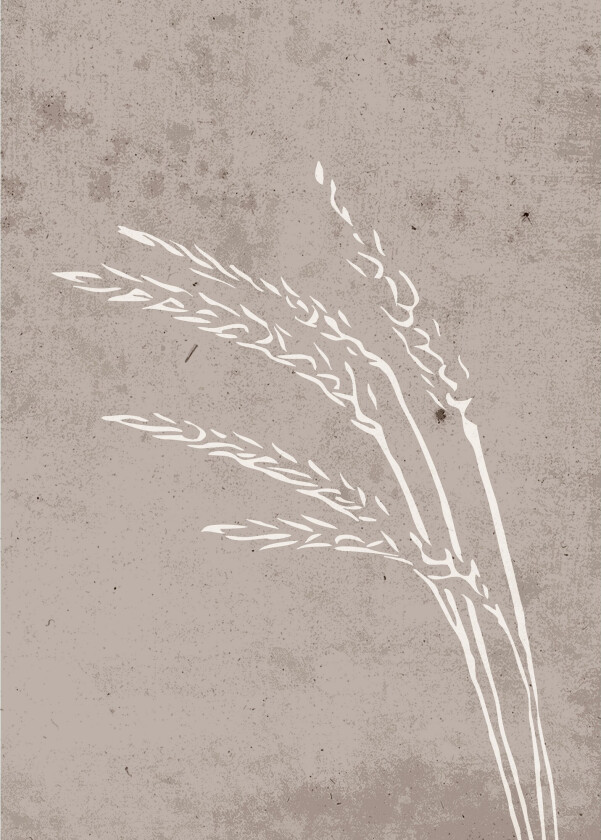 Poster Seeds 50x70 cm - Beige