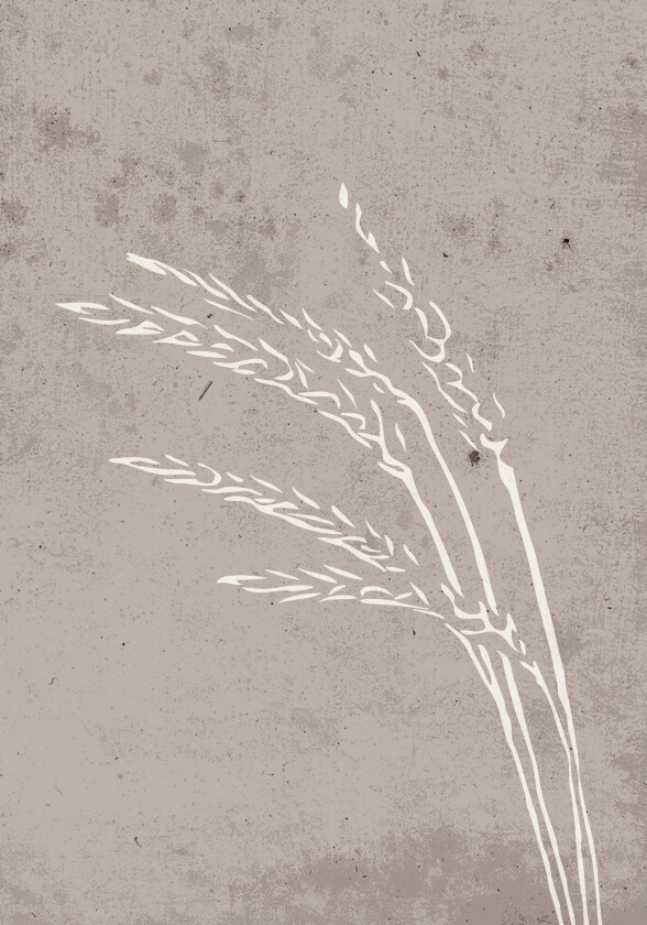 Poster Seeds 70x100 cm - Beige