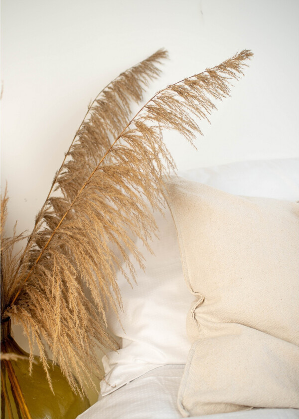 Poster Bohemian 50x70 cm - Beige