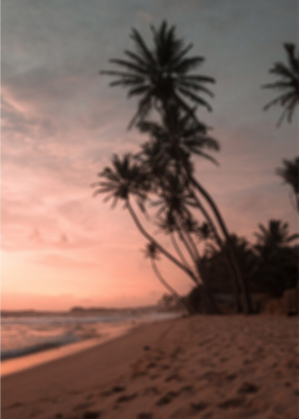 Poster Summer 50x70 cm - Rosa