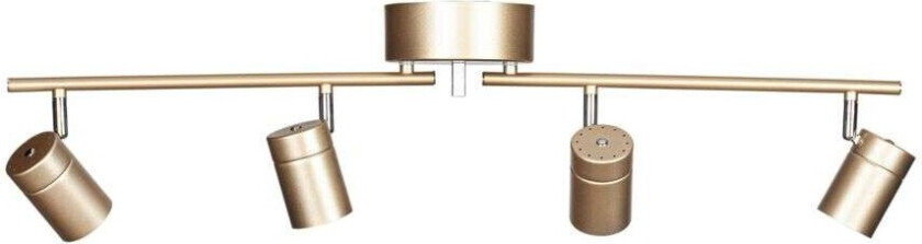 Correct 4 takspotlight Gull