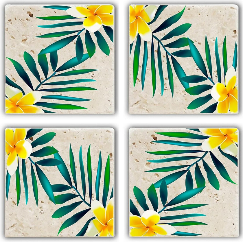 Kitchenware Glass Matt