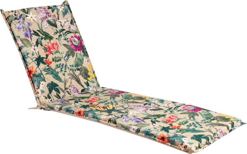 Solsengpute Amazonia -