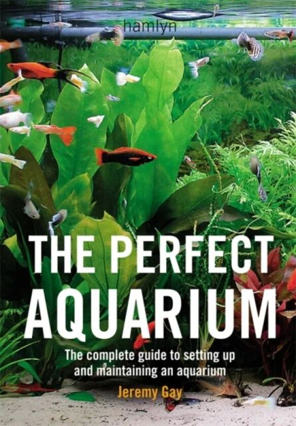 The Perfect Aquarium av Jeremy (Author) Gay