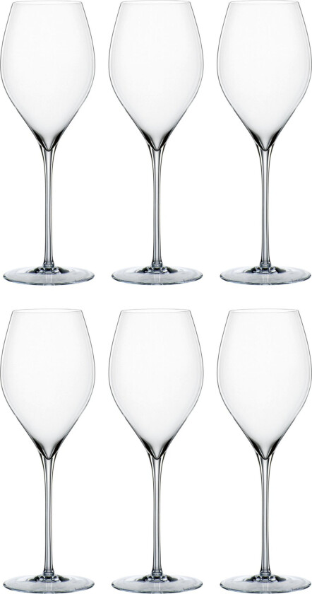 Special Glasses champagneglass 45 cl 6-pakning