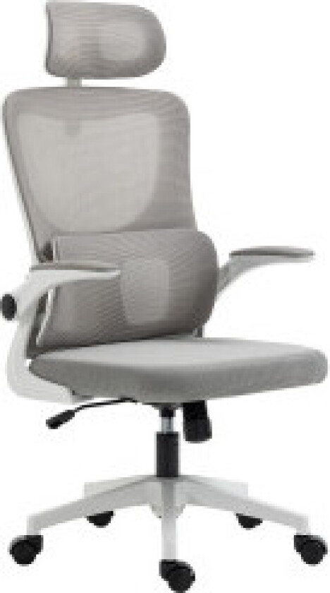 Kontorstol Ergonomisk Høydejusterbar Skrivebordsstol Justerbar Armlener Pute Vippefunksjon Korsryggstøtte Mesh Grå