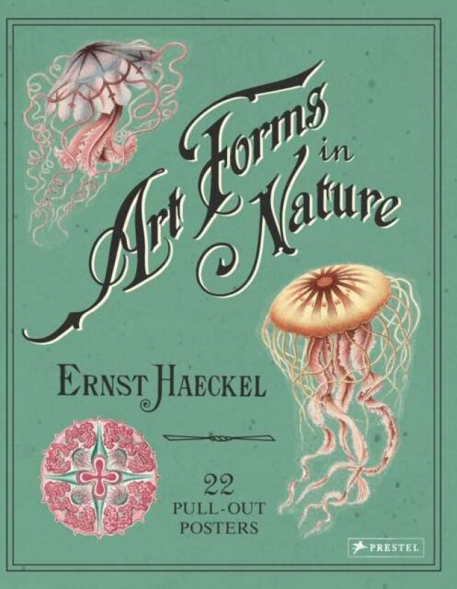 Ernst Haeckel: Art Forms in Nature: 22 Pull-Out Posters av  Ernst Haeckel