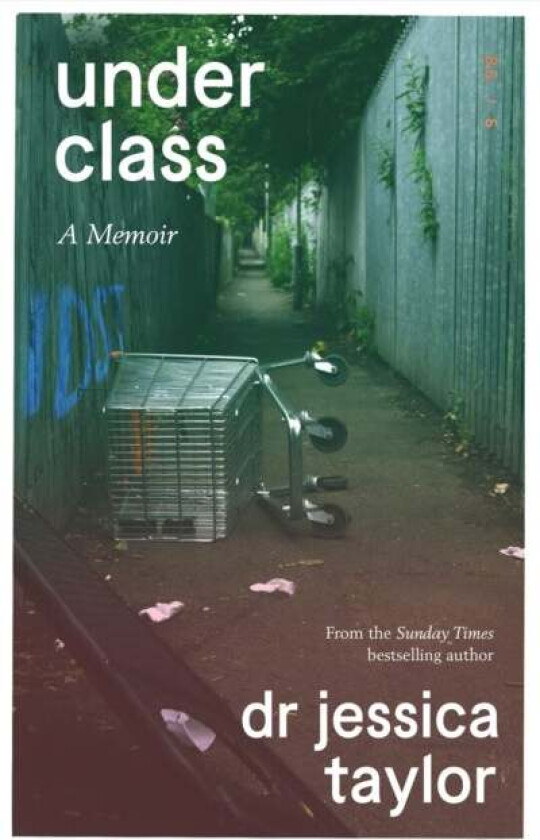 Underclass av Dr Jessica Taylor