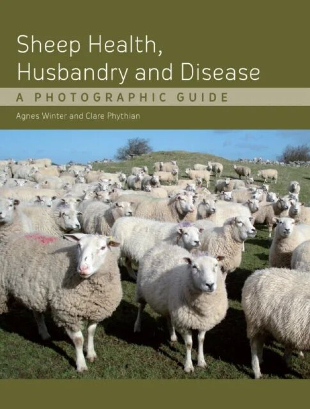 Sheep Health, Husbandry and Disease av Agnes C B.VSc PhD DSHP MRCVS Winter