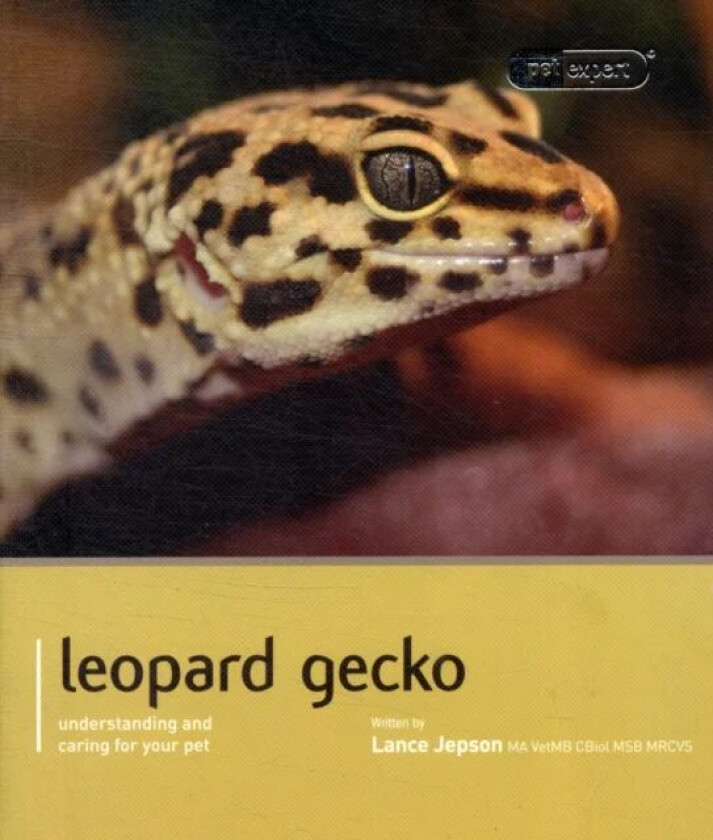 Leopard Gecko - Pet Expert av Lance Jepson